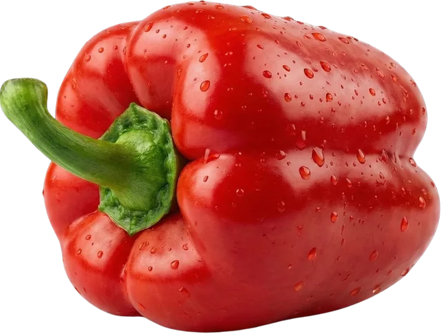 Capsicum